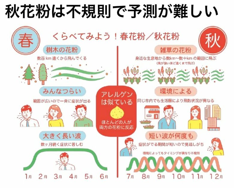 秋花粉は不規則で予測が難しい（出典：ニューノーマル“秋花粉”対策ガイド）