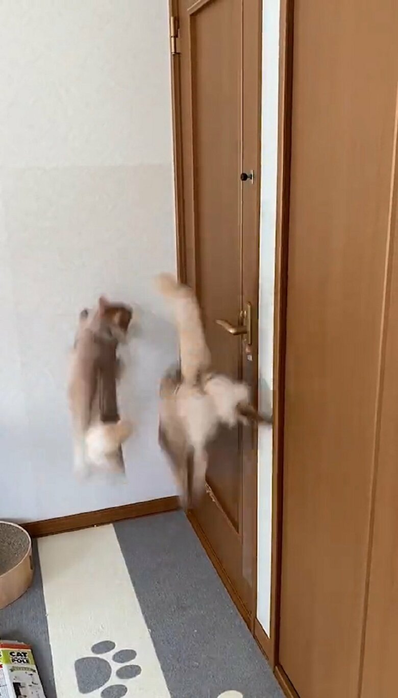 そのまま壁へジャンプ！反対に颯くんは扉からおりる