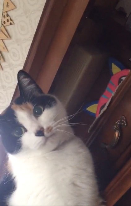 時計落としちゃった…なミカサちゃん