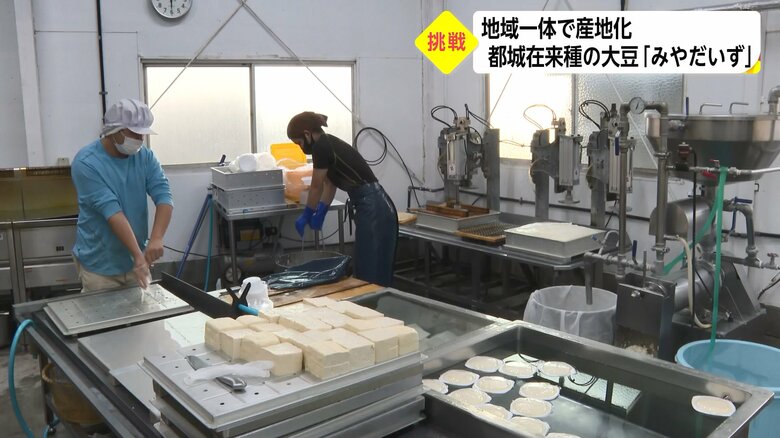 「みやだいず」を使った豆腐作りに注力　前田豆腐店