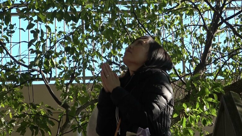 パレード当日は福山さんファンが次々に訪れた