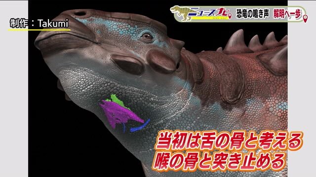 比較研究などで呼吸や鳴き声に関わる喉の骨と判明