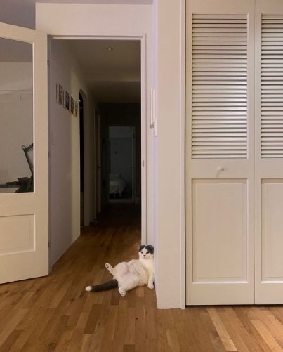 不思議なポーズ？