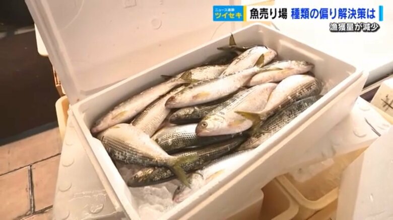 スーパーに届いた「コノシロ」