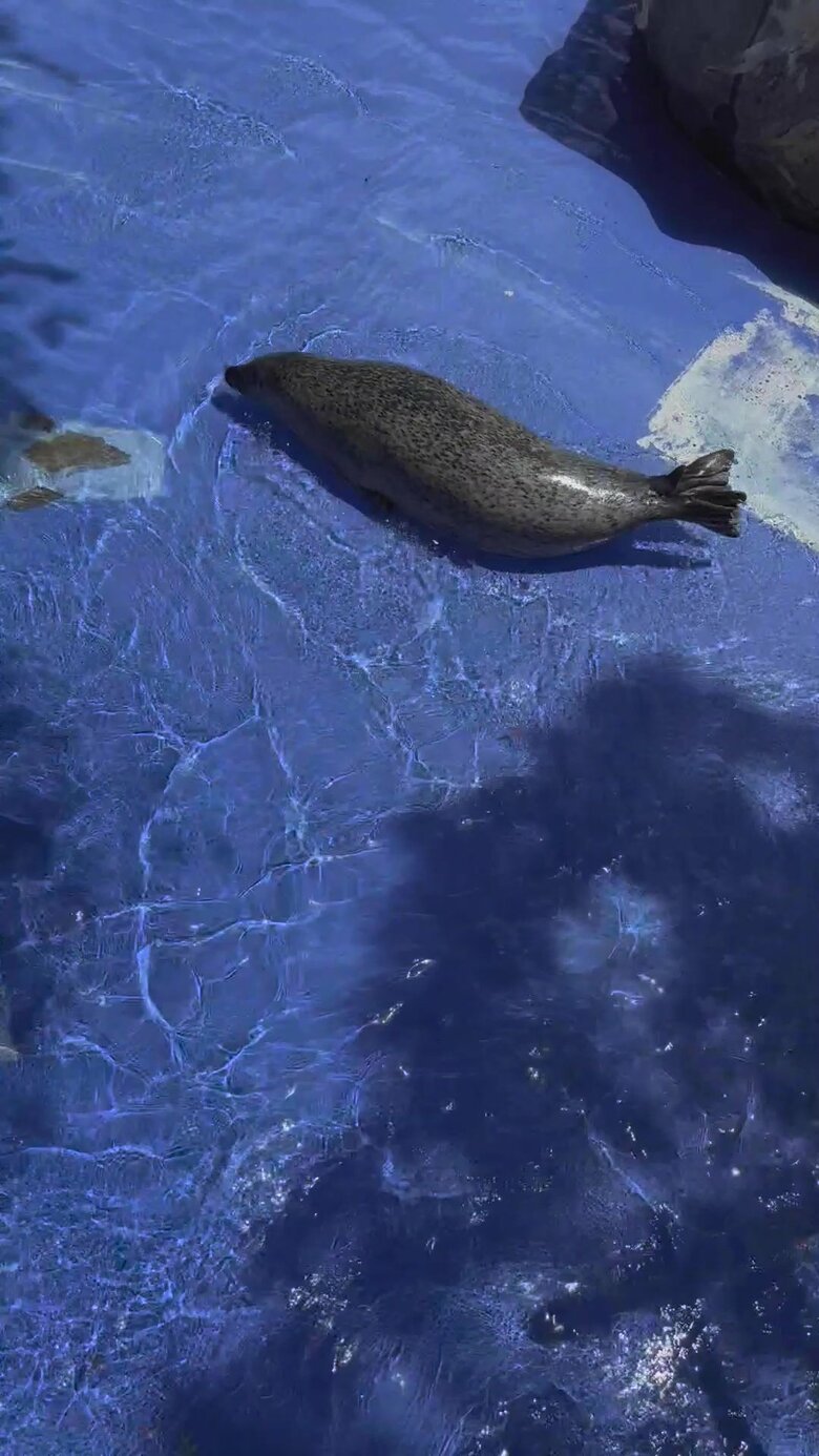 （提供：名古屋市東山動植物園）