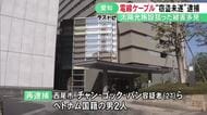 太陽光発電所で電線ケーブルを盗もうとした疑い ベトナム国籍の男2人を再逮捕 愛知県内で同様被害約140件