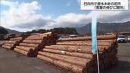 「需要の伸びに期待」日向市で木材の初市