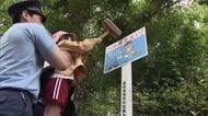 水は「危険」であることを子供に伝えたい…綾川町・滝宮天満宮で子供の水難事故防止へ安全祈願【香川】