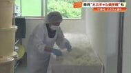 高知・三原村で特産「どぶろく」造りが最盛期　新米コシヒカリを仕込み、来月には飲みっぷり競う選手権も