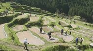 泥を塗りつけ水漏れ防ぐ…“日本の棚田100選”の丸山千枚田で畔塗り体験 田んぼのオーナーらが鍬を使って整える