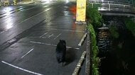 「もう1匹いるかも」宇都宮の住宅地にクマ　捕獲後も生活に変化　短い距離でも“タクシー移動”増加　“2頭目”に警戒続く
