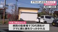 ７０代男性がクマにひっかかれてけが　捕獲頭数はすでに過去最多