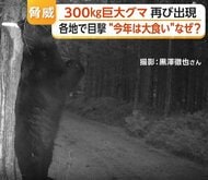 体重300kgクラス“巨大ヒグマ”が住宅近くの山林に出没　ゴールデンウィークに全国各地でクマ目撃相次ぐ