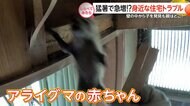 猛暑で急増！？身近な住宅トラブル【しらべてみたら】