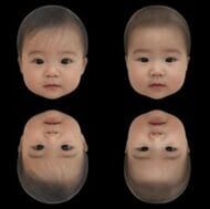 「赤ちゃんの顔は“逆さま”に見てもかわいい」理由が判明…大人だと違和感があるのになぜ？顔の魅力を研究者に聞いた