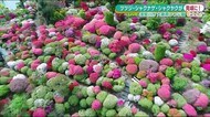 ツツジ・シャクナゲ・牡丹の競演『大桑原つつじ園』1万株以上の花々を愛でる<福島県須賀川市>