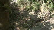 同僚の遺体を山林に…高松市の24歳の男を死体遺棄の疑いで逮捕 男 容疑認める【香川・綾川町】