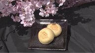 桜の名所で150年…「亀まんじゅう」伝統守りつつ変化いとわず　4代目から5代目へ【長野発】