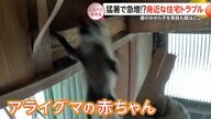 猛暑で急増！？身近な住宅トラブル【しらべてみたら】