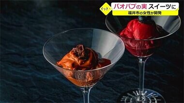 アフリカの日常食「バオバブ」からスイーツ開発 セネガルの貧困解決願う女性の思い込め【福井発】