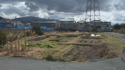 「ネギ泥棒にやられた」小学生が栽培したネギ約100本が畑から消える　「何でこんなことするんだ、信じられない」　学校が盗難で被害届