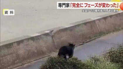 クマ人身被害「食べるためにねらう・意外と簡単に人間は倒せる」完全にフェーズ変わった…専門家語る　山形