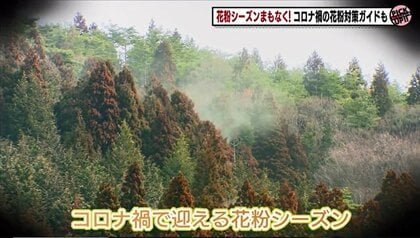 コロナ禍で迎える花粉シーズン　コロナとの見分け方は？ポイントを押さえた換気、掃除方法も解説