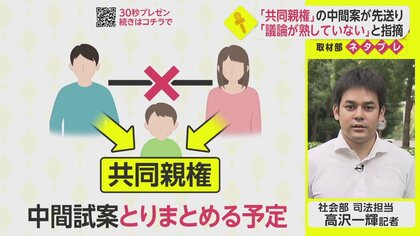 共同親権先送り…離婚後の子ども養育の在り方はどうなる？【ネタプレ社会部】