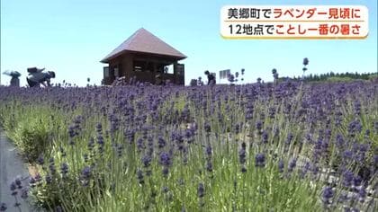 仙北市角館は33.1度、12地点で今年一番の暑さ　美郷町のラベンダー見頃、癒やしの香り広がる　秋田