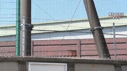 「有刺鉄線」に「忍び返し」も…悠仁さま“筑附”ご入学で警備強化「24時間体制」へ