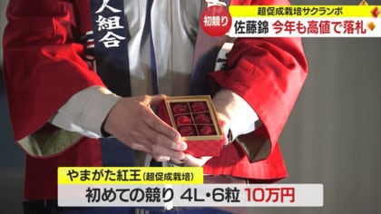 ぐんぐん玉5限定セットのみ1㎏業務用増量タイプ通常15,000円→10,000円 一粒1万4700円！ 新春恒例サクランボの初競り 超促成栽培「佐藤錦」に