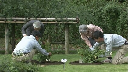 四季を彩る皇居の庭”東御苑 上皇さまの思いも反映、ご夫妻で植樹も