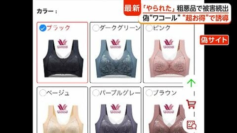 「大きな胸は面接やキャリアに不利」不自然な日本語の偽広告、ワコールも被害受ける　実際に購入し粗悪品が届いた女性も