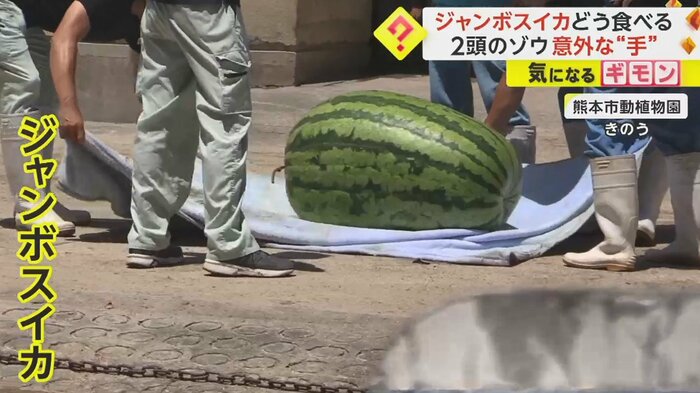 大人6人で運ぶ(7月17日)