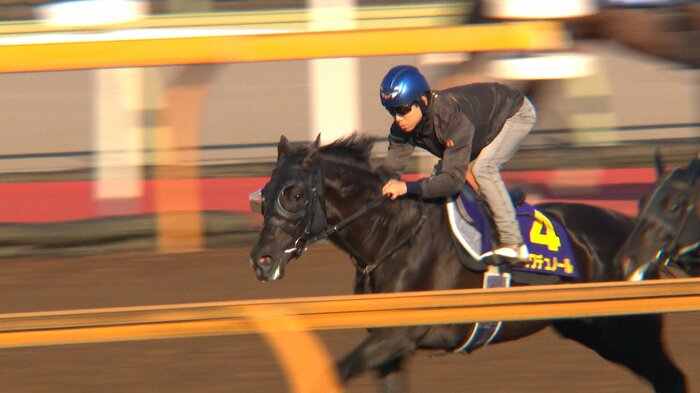 最終追い切りに臨むクロワデュノール