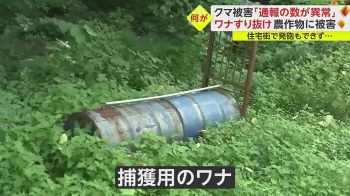 町は捕獲用のわなを設置