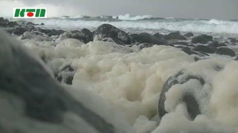 荒々しい冬の海とは対照的に“かれん”五島の海岸で「波の花」｜FNNプライムオンライン