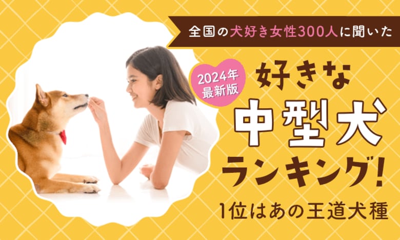 【2024年最新版:全国の犬好き女性300人に聞いた】好きな中型犬ランキング!1位はあの王道犬種