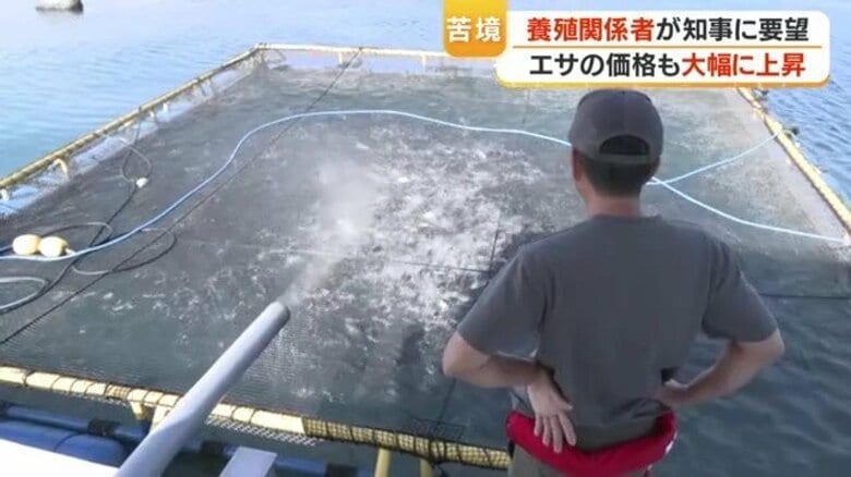 漁業用重油・エサの価格高騰で養殖業が悲鳴　漁協らが県知事へ支援を要請【鹿児島】｜FNNプライムオンライン