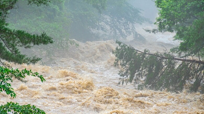 【警戒】台風第7号がお盆に関東直撃の可能性…台風接近前にやるべきこと・直撃中にやるべきことリスト 日本気象協会｜FNNプライムオンライン
