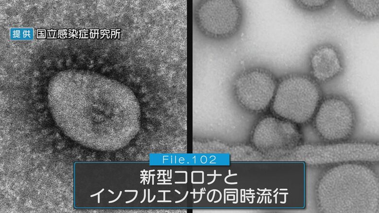 新型コロナ・インフルエンザ「同時流行のおそれ」　2つのワクチン接種で重症化予防を【新潟発】｜FNNプライムオンライン