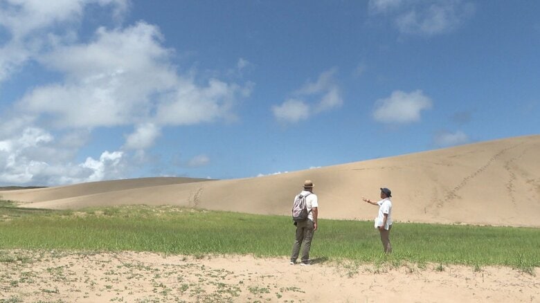 鳥取砂丘が「草原化」!? 広大な美しい砂の光景がピンチ…原因は外来種雑草の繁殖？　人力による除草作戦で食い止められるのか｜FNNプライムオンライン