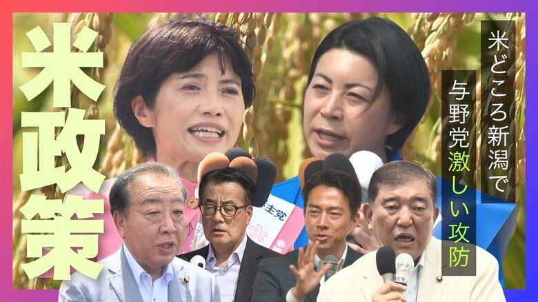 「自民農政に対する怒り深かった」米どころ新潟で“農業票”めぐる激しい攻防 自民は生産者の懸念払拭に奔走も…政府批判展開した野党が勝利｜FNNプライムオンライン