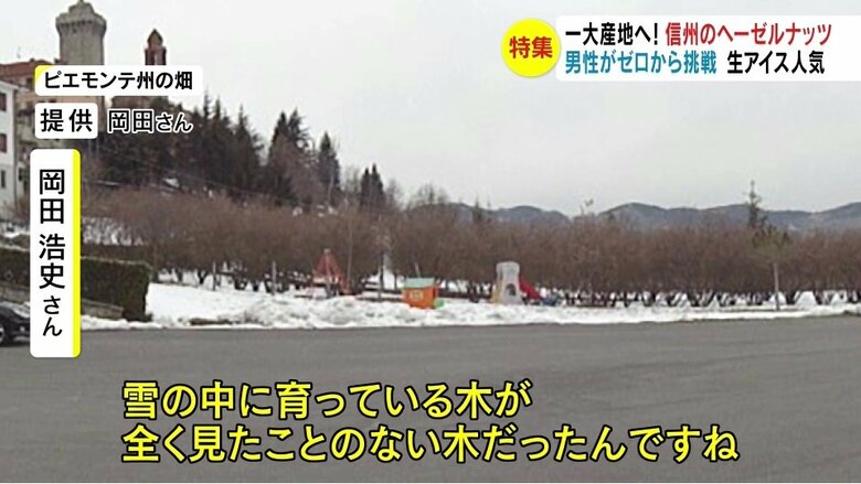 トリノのあるピエモンテ州の畑