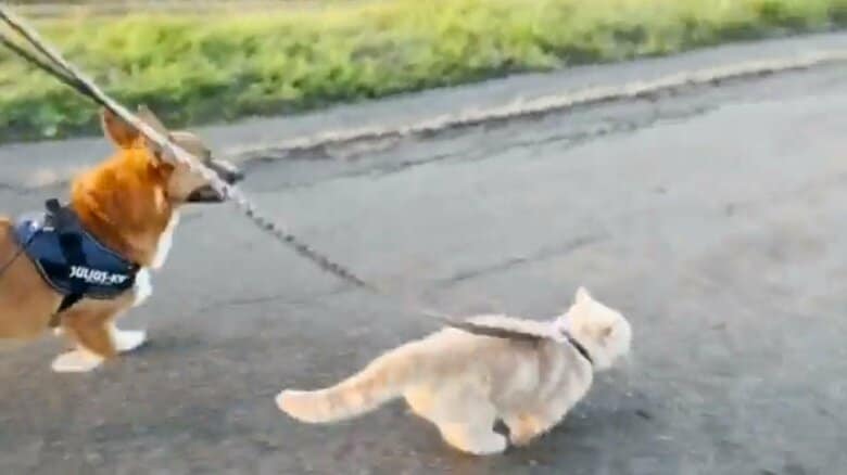 速い走りで先頭に立った