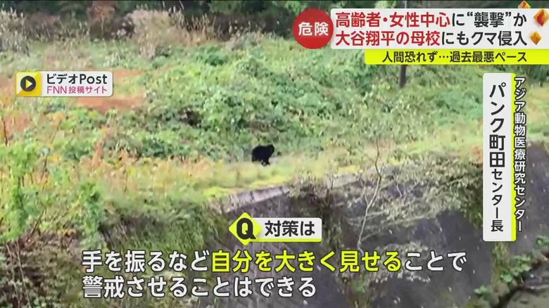 9月までの半年間の被害者数は109人、過去最悪ペースだ