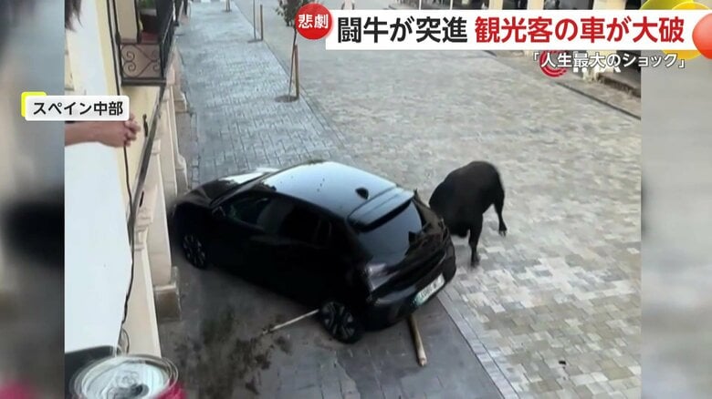 闘牛が止まっていた黒い車に向かって突進する一部始終⑦