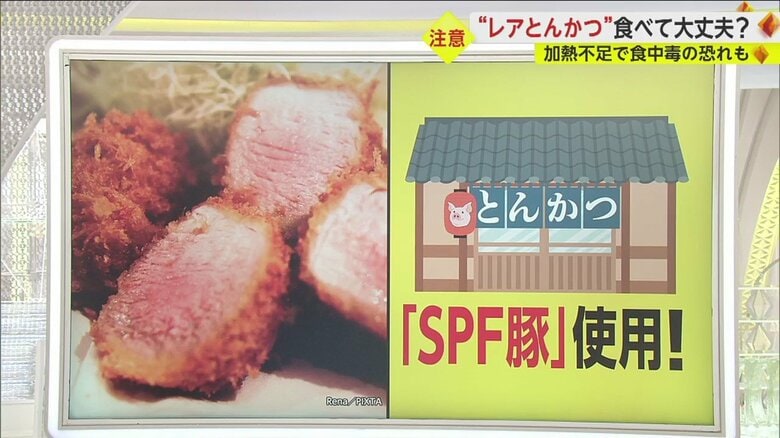 “レアとんかつ”提供店の中には「SPF豚」の使用をうたう店もあるが…