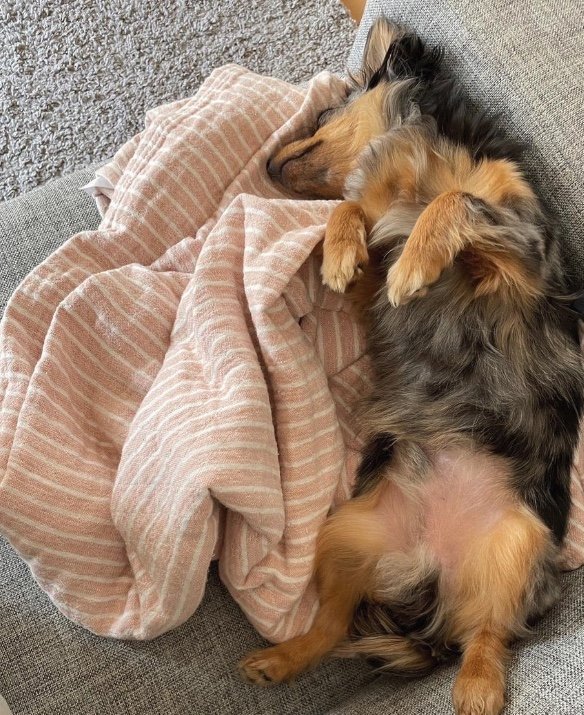 提供：チワックスの諭吉くん。さん