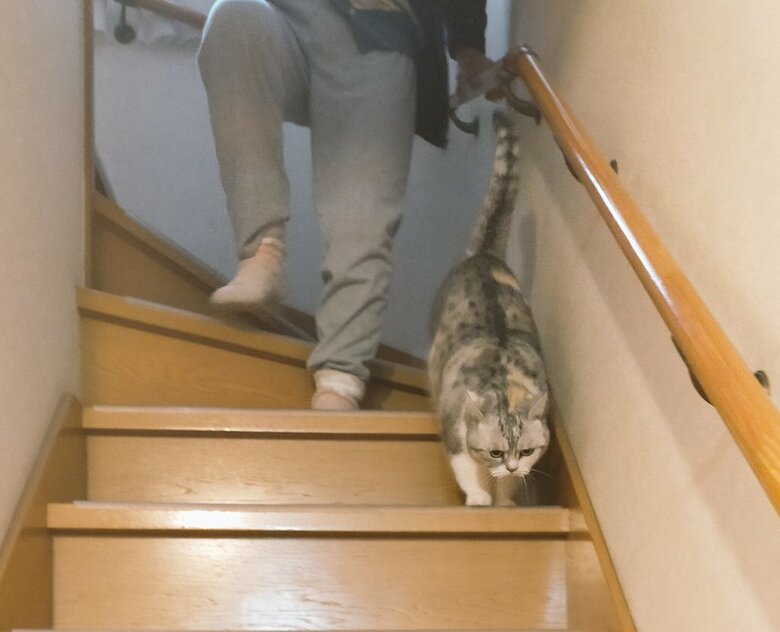 いつもおばあちゃんと一緒（提供：まさまささん）